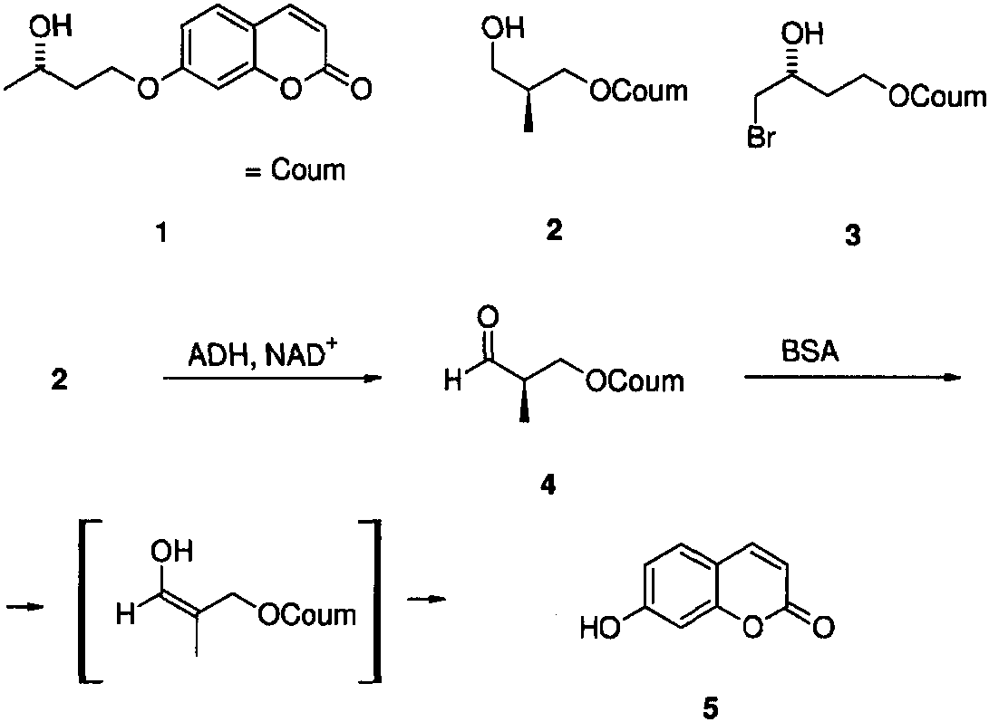 1.2.1 手性荧光醇脱氢酶(ADH)底物